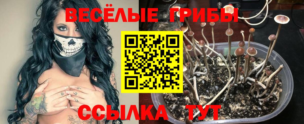 Коломна  Галлюциногенные грибы Cubensis  Псилоцибиновые грибы MAGIC MUSHROOMS  где продают наркотики  Вход с VPN 